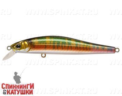 River Radical (EG-192A-SP#A203-264)