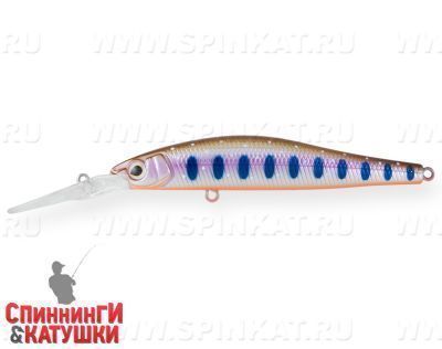 Arctic Char (EG-192BL-SP#A142-264)