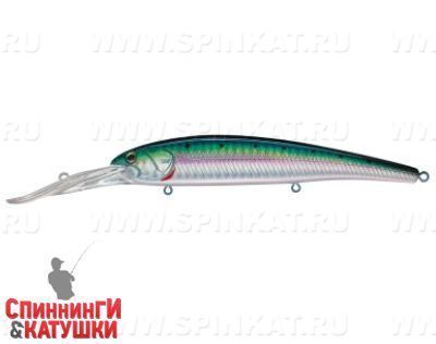 Pacific Sardine (EG-220L#692-713-RP)