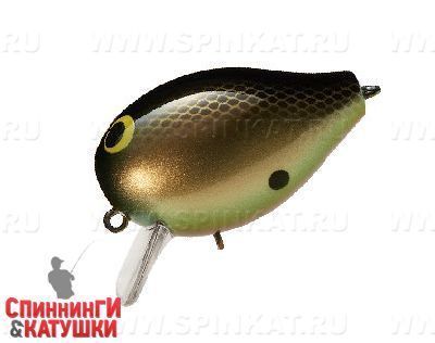 #06