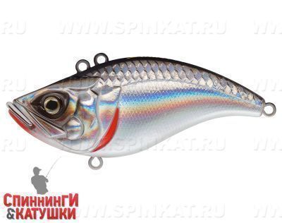Black Back Silver (EG-128B#A010-EP)