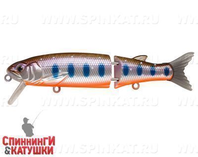 Arctic Char (EG-157-SP#A142-264)