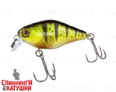 Ghost g perch