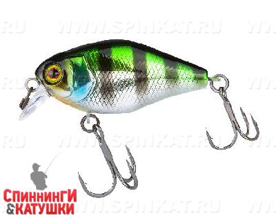 Hl bluegill