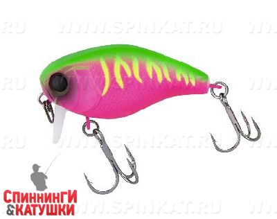 Dragon fruit mat tiger
