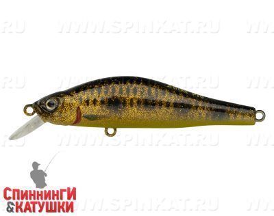 Spotted Bullhead (EG-125A-SP#JV009F)