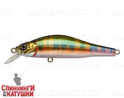 River Radical (EG-125A-SP#A203-264)
