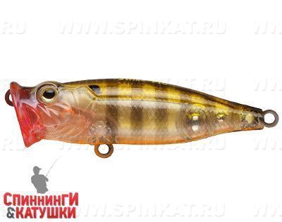Broun Gill Transparent (SH-002B#A68G)