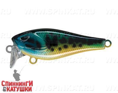 Venom Perch (EG-239#945V)
