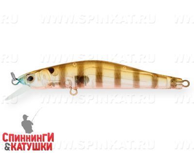 Broun Gill Transparent (EG-193A-SP#A68G)
