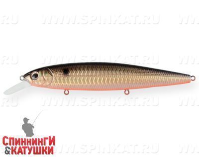 Black Back Smoked OB (EG-191-SP#613-713)