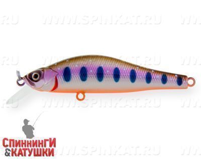 Arctic Char (EG-125D-SP#A142-264)