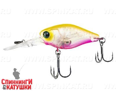 Clear chartreuse tiger