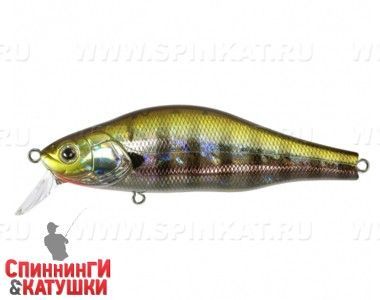 509 Blue Gill