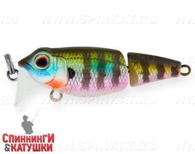 Bluegill (EG-073J#630V)