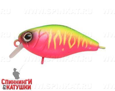 Watermelon Mat Tiger (EG-165#A230S)