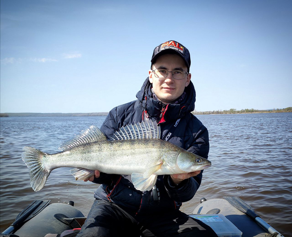 Судак пойманный на Zetrix Hayron 2nd Generation HRS-812H