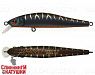 Black Mat Tiger (EG-192A-SP#A208S)