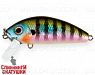 Bluegill (MG-002F#630V)
