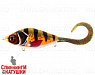 Koi Special (EG-208B#TR-013F)