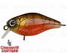 Hot Perl Perch (EG-165#TW001G)