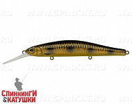 Spotted Bullhead (EG-193BXL-SP#JV009F)