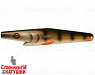 Golden Perch (EG-172A#PW004)