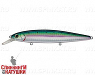 Pacific Sardine (EG-191-SP#692-713-RP)