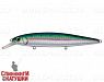 Pacific Sardine (EG-191-SP#692-713-RP)