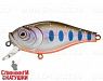 Arctic Char (JL-128F#A142-264)