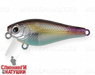 Transparent Fry (JS-259B#A218-GSAL)