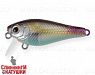 Transparent Fry (JS-259B#A218-GSAL)