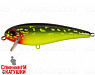 Hot Pike (EG-205#JV008)