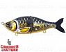 Spotted Bullhead (EG-051#TR-008G)