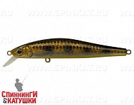 Spotted Bullhead (EG-192C-SP#JV009F)