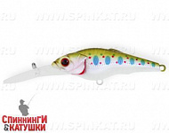 EG-081L#620T