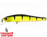 2000 European Perch
