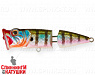 Bluegill (SH-002CJ#630V)