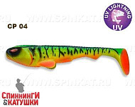 48-100-cp04