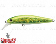 317 Shiney Lime