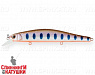 Arctic Char (EG-193B-SP#A142-264)