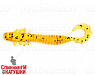 #004 Caramel Oil