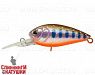 Arctic Char (EG-202F#A142-264)