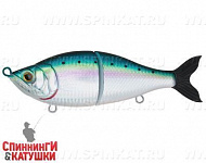 Pacific Sardine (EG-051#692-713-RP)