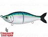 Pacific Sardine (EG-051#692-713-RP)