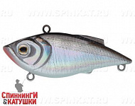 Black Back Silver (JL-129#A010-EP)