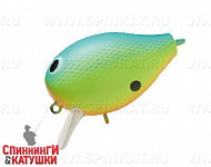 #07