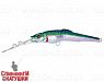 Pacific Sardine (EG-076EL#692-SBO-RP)