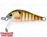 Broun Gill Transparent (EG-183S#A68G)