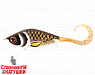 Spotted Bullhead (EG-208AS#TR-008)
